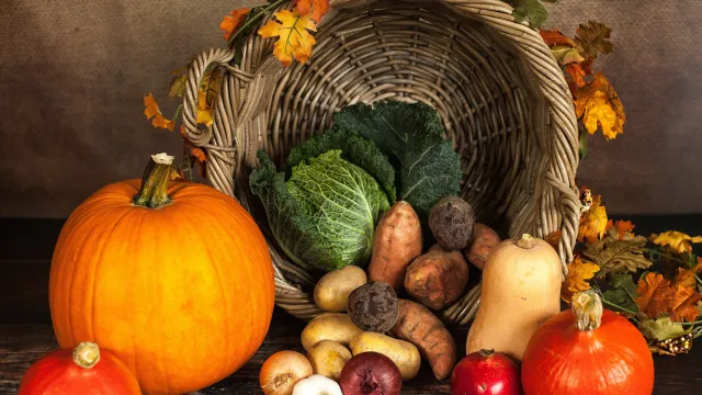 Pixabay Herbstbild (Foto: Pixabay) Pixabay Herbstbild (Foto: Pixabay)