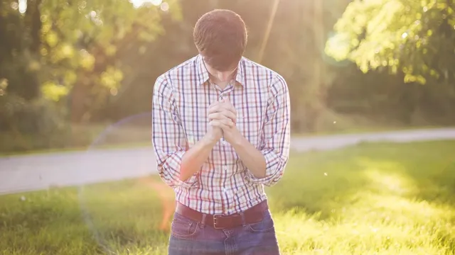 Bild Jammern hilft nichts pixabay (Foto: pixabay) Bild Jammern hilft nichts pixabay (Foto: pixabay)