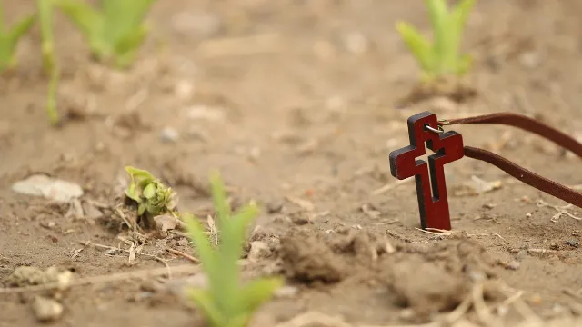 Bild Christentum pixabay (Foto: Pixabay) Bild Christentum pixabay (Foto: Pixabay)